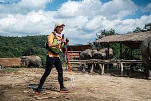 BIB: 
                            <button type="button" onclick="openModal(22423926)" class="btn btn-primary btn-sm float-right btn-popup" data-toggle="modal" data-target=".modal-high-quality">
                        <i class="fas fa-shopping-cart"></i> Add to Cart
                    </button>
                                            <button type="button" onclick="isThisMe(22423926, true)" class="btn btn-success btn-sm float-right btn-popup btn-isme hidden" data-toggle="tooltip" data-placement="bottom" title="นี่คือรูปของคุณใช่ไหม คลิกที่นี่เพื่อเอาเข้าอัลบั้ม">
                        <i class="fas fa-plus"></i> Add to album
                    </button>
                    <button type="button" onclick="isThisMe(22423926, false)" class="btn btn-warning btn-sm float-right btn-popup btn-isnotme hidden">
                        <i class="fas fa-ban"></i> Remove from album
                    </button>